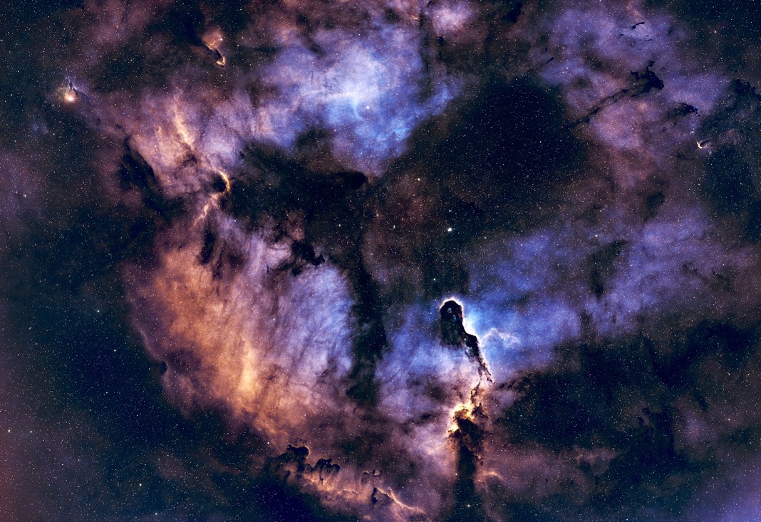 Elephant's Trunk Nebula